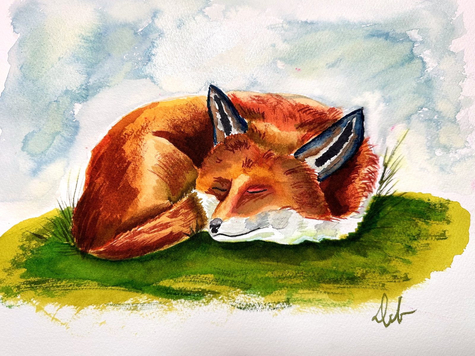 Watercolor of a red fox curled asleep on green grass.